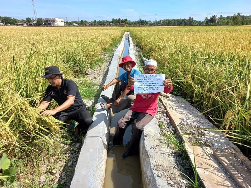 Masyarakat Tumbo Baro mulai Panen Raya, Mesin Hilangkan Budaya Meuseuraya 1 FB IMG 1634458159730