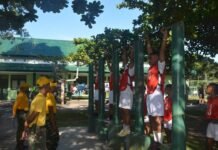 38 Orang Calon Taruna Akmil TA 2022 Sub Panda Korem 174/ATW Merauke Ikuti Seleksi Kesamaptaan Jasmani