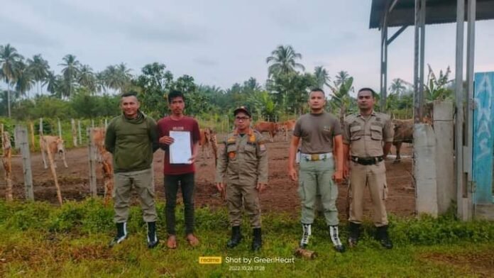 FB_IMG_1668608098306