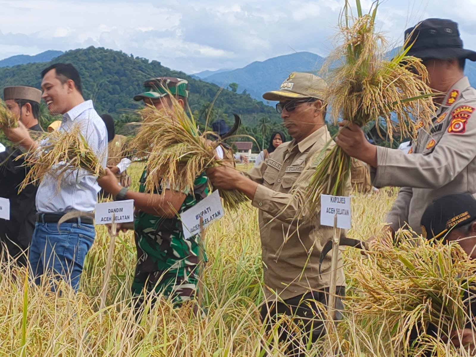 Kapolres dan Forkopimda Aceh Selatan Panen Hasil Program Ketahanan Pangan