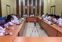 Ini Dua Kategori yang Bisa Diangkat sebagai PPPK Paruh Waktu harus Penuhi Empat Kriteria Sebagai Berikut