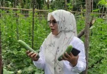 Distan Aceh Besar Komit Perkuat Ketahanan Pangan Melalui Pemanfaatan Pekarangan Rumah