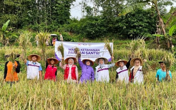 FB_IMG_1743234688425