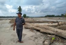 Sawah Petani Kuta Blang Rusak Parah, Lumpur Dua Meter Kubur Harapan Warga