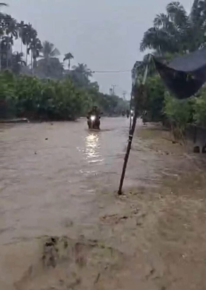 FB_IMG_1775754356965