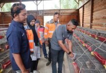 Dari Sampah Kelapa ke Aksi Iklim: Solusi Bangun Andalas Raih PROPER Hijau 2025