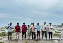 Himpunan Mahasiswa Perencanaan Wilayah dan Kota Fakultas Teknik USK, Tanam Mangrove Pantai Lambadeuk
