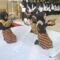 Sambut Tahun Ajaran Baru, Siswa Baru MAN 7 Bireuen Disambut Tarian Ranup Lampuan