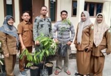 UPTD Kesatuan Pengelolaan Hutan Wilayah 1 DLHK Aceh Salurkan Bibit Mangga dan Durian