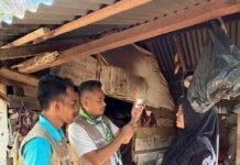 Dinas Pertanian Aceh Besar Targetkan Vaksinasi PMK untuk 50 Ekor Sapi di Ingin Jaya
