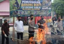 Musnahkan Barang Bukti Ganja, Kapolres Aceh Selatan Tegaskan Komitmen Berantas Narkotika