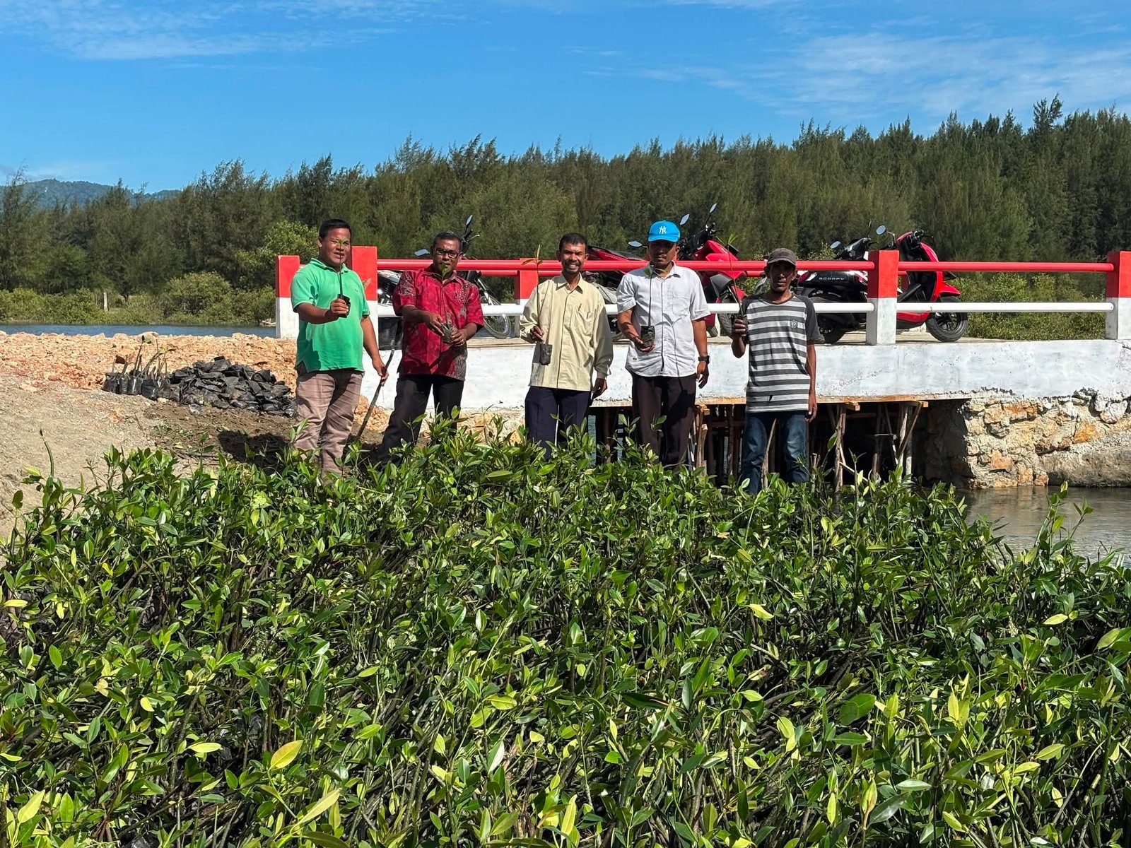 Mantap! DLHK Aceh Fasilitasi Penanaman 19.200 Batang Mangrove di Lamteh Peukan Bada 1 FB IMG 1785674807546