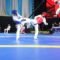 Indonesia Meraih medali 9 Emas di 8 Th Asian Taekwondo Indonesia Championship 2026