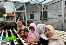 Tim Lintas Fakultas USK Berdayakan Remaja RSAN Dinsos Aceh melalui Hidroponik, Pendampingan Psikologis, dan Eco-Entrepreneurship